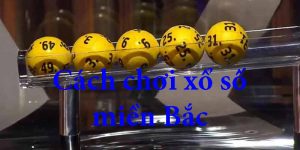 Cách Chơi Xổ Số Miền Bắc